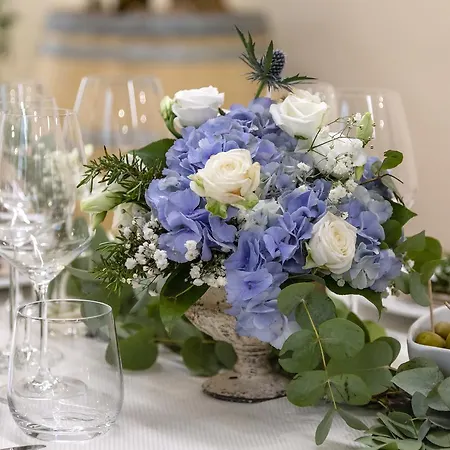 Borgo Giorgione Villa Monteleone dʼOrvieto